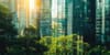 DCW Monthly: May 2025