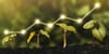 Fundamental Questions Surrounding Green Financial Products